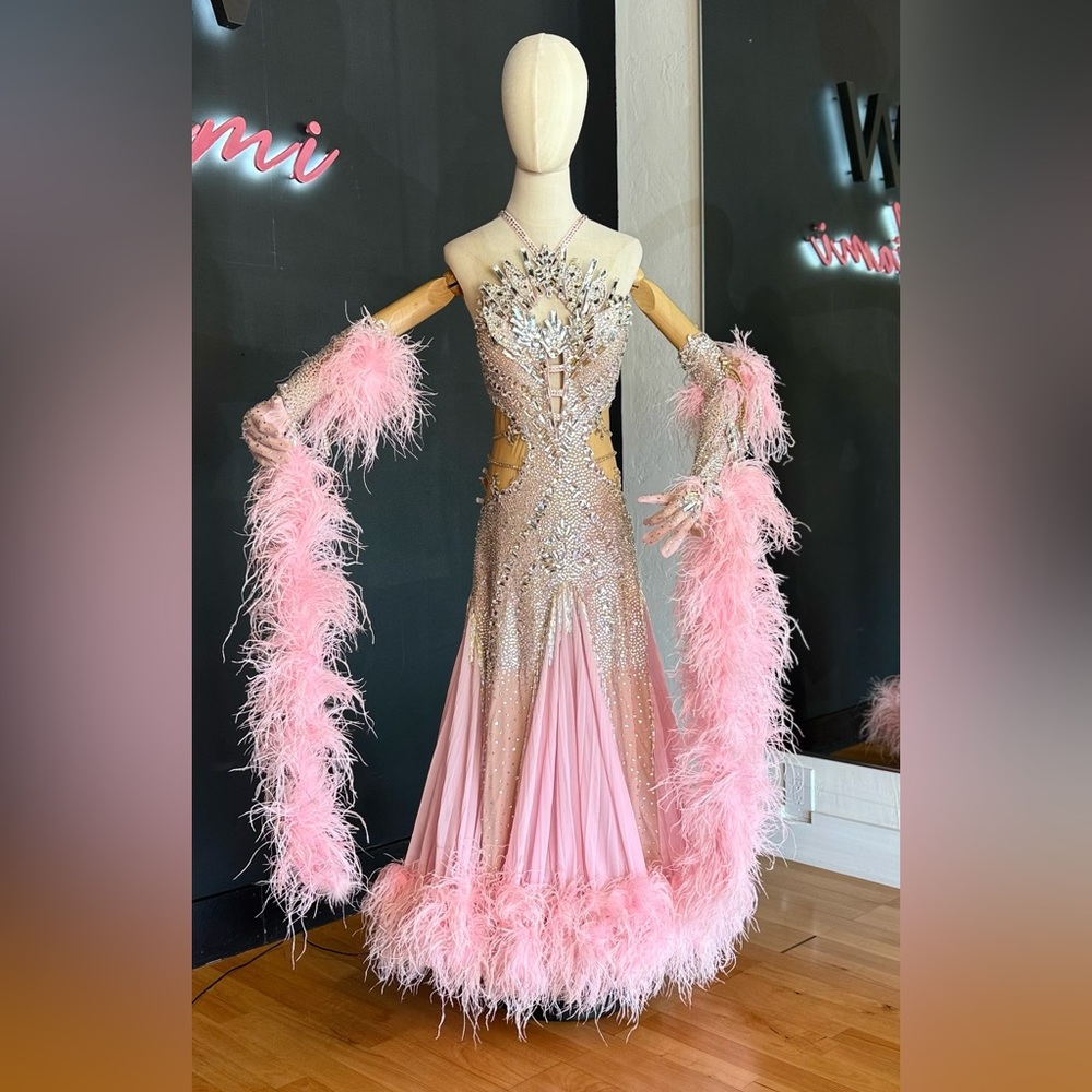 ✨ Pink Ballroom Standard Dress with Swarovski Crystals and Feathers
